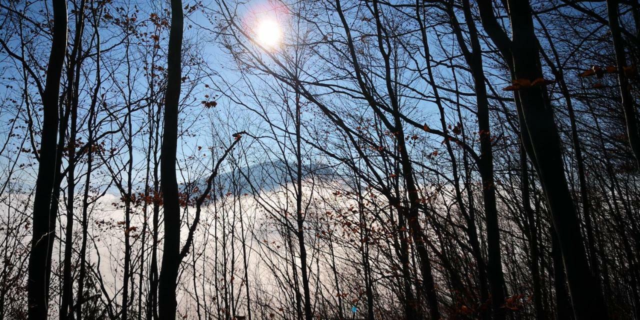 Zimmervermietung Stocker Waidhofen an der Ybbs Esterno foto