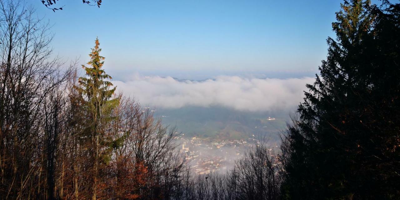 Zimmervermietung Stocker Waidhofen an der Ybbs Esterno foto